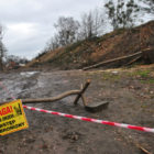 556552_528917930474929_1612061952_n