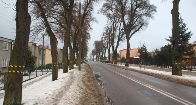 Wycinka 50 drzew w Wejherowie. Radni zwołują sesję nadzwyczajną