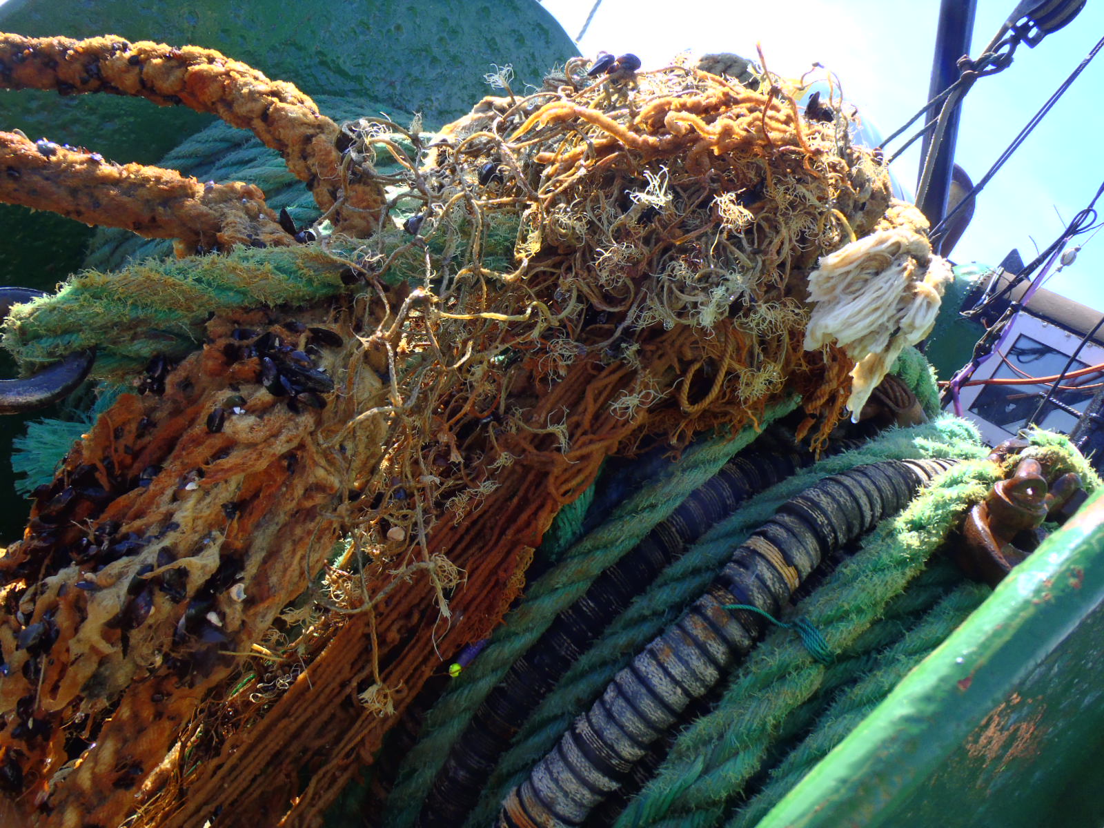 Sieci widma wyłowione z Bałtyku. Jest ich 135 km!