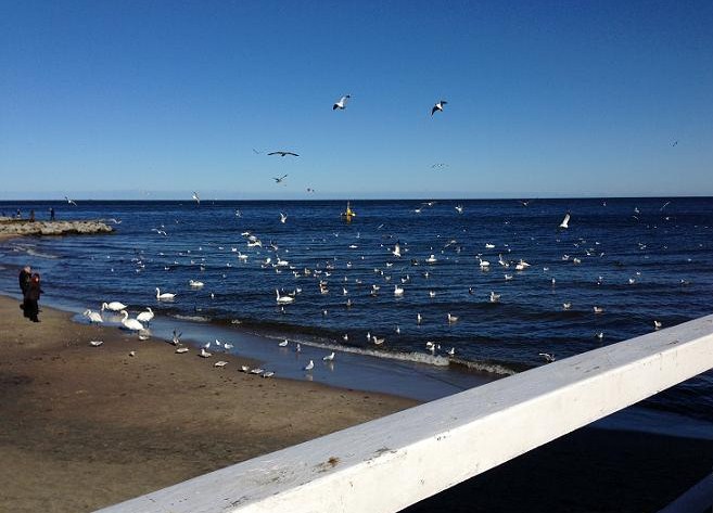 Wiosna w powietrzu…