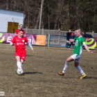 20130406-pogon-drzewiarz-013