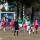 20130406-pogon-drzewiarz-018