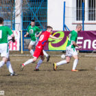 20130406-pogon-drzewiarz-021