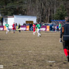 20130406-pogon-drzewiarz-025
