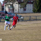 20130406-pogon-drzewiarz-027