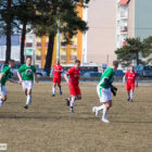 20130406-pogon-drzewiarz-030