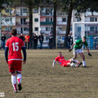 20130406-pogon-drzewiarz-037