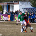 20130406-pogon-drzewiarz-048