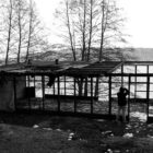 20130407-lubowidz-021