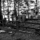 20130407-lubowidz-022