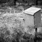 20130407-lubowidz-024