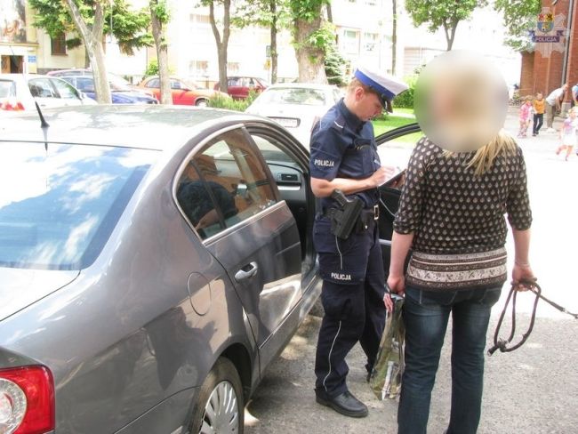 Działania „Piesi” – podsumowanie