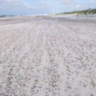 matuskiewicz-wyprawa-11