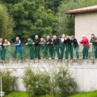 20130914-kolbudy-pogon-014