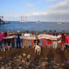 oarfish16n-4-web