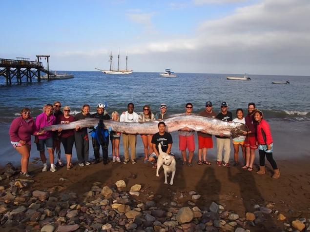 Potwór z oceanicznych głębin odnaleziony u wybrzeży Kalifornii
