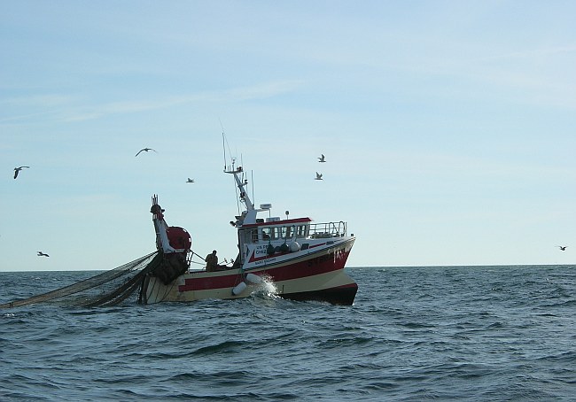 Łowiska Mauretanii nadal dostępne dla polskich trawlerów