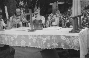 Tajemnica sianowskiego skarbu