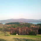 2014-03-31-541