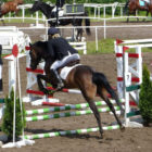 runowo-2014-04