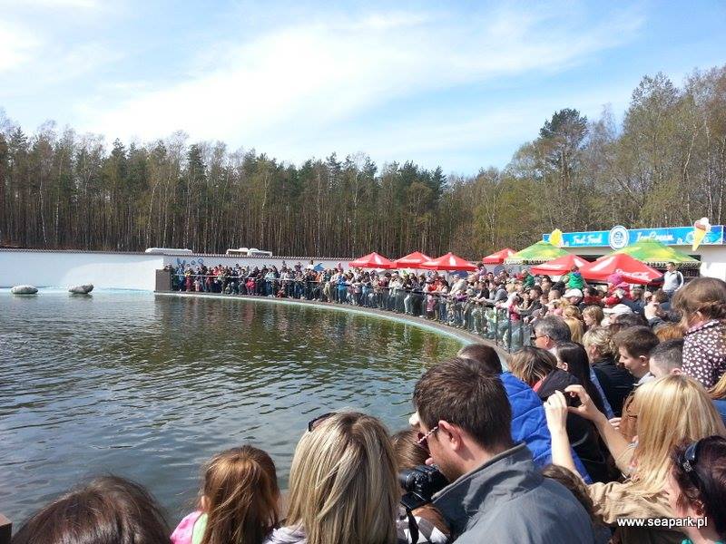 Sea Park w Sarbsku otrzymał prestiżowe wyróżnienie