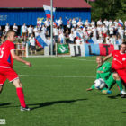 20140618-pogon-gryf-00
