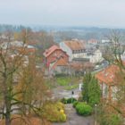 DSC_2096-800