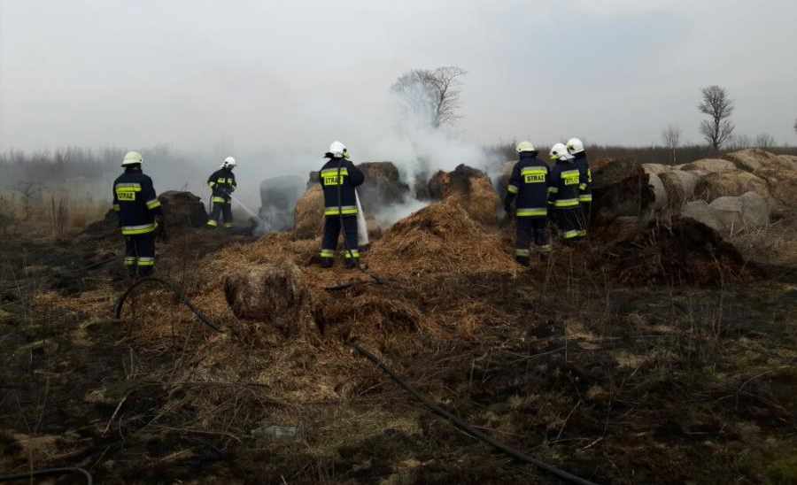 Problem wypalania traw nadal aktualny