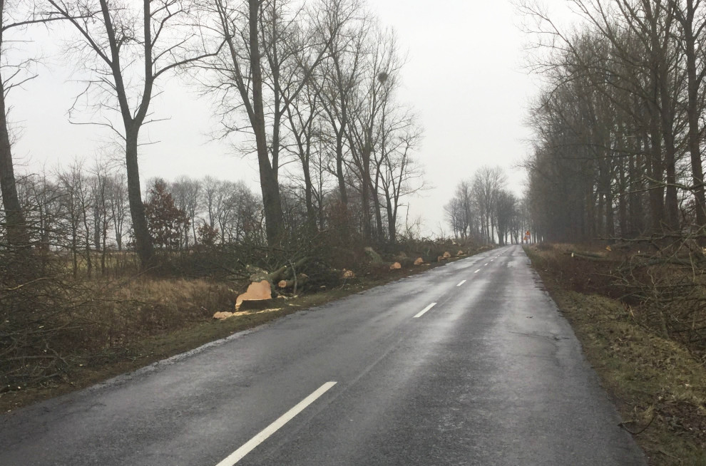 Rozpoczęły się prace remontowe drogi 214 do Łeby