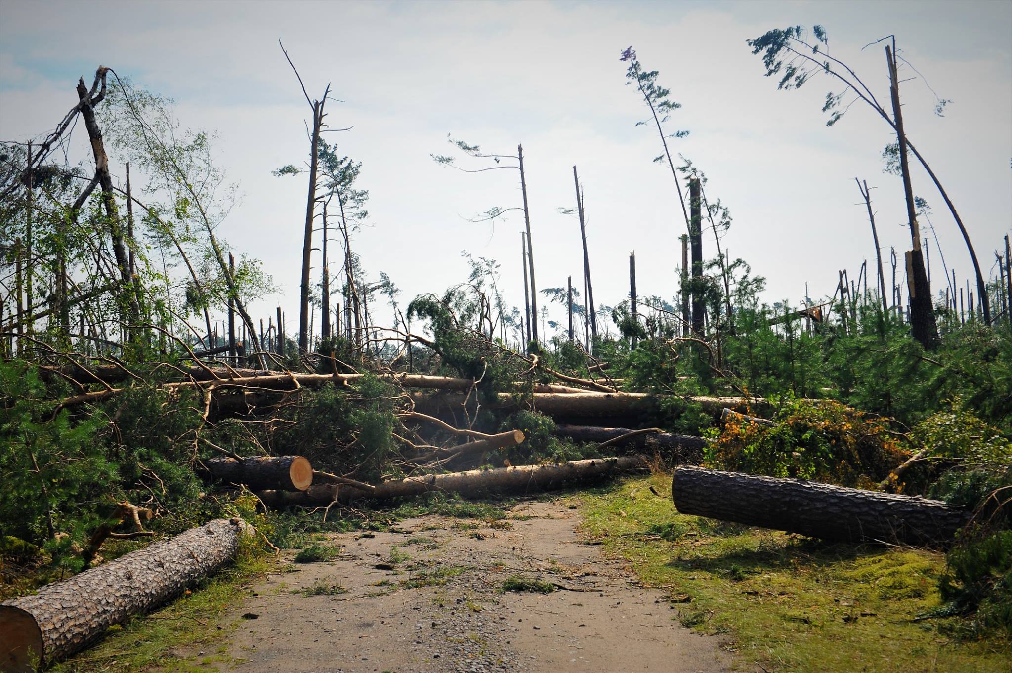 Wspólnie pokonali nawałnicę, mieszkańcy dziękują wolontariuszom