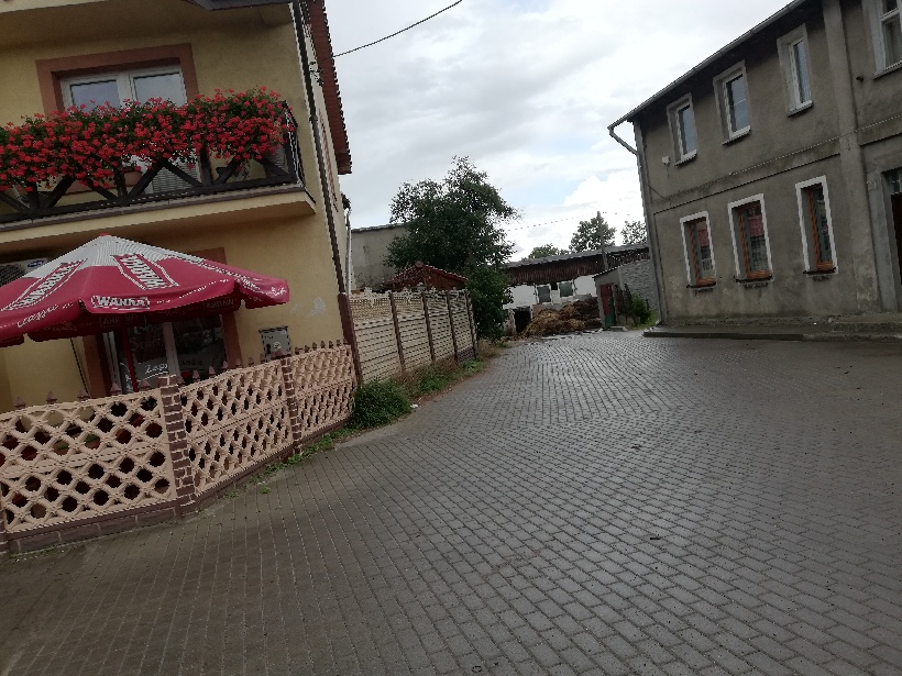 Muchy w Główczycach