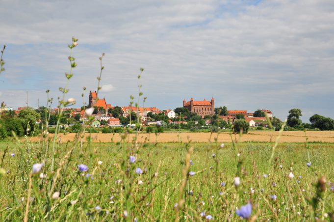 Gniew – panorama miasta. Fot. z zasobów PBPR