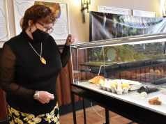 Bałtycki bursztyn na wyjątkowej wystawie w puckim Starym Ratuszu