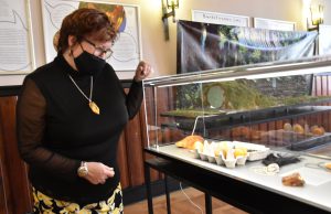 Bałtycki bursztyn na wyjątkowej wystawie w puckim Starym Ratuszu