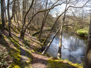 Buczyna nad Słupią. Leśna enklawa na obrzeżach Ustki