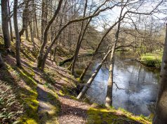 Buczyna nad Słupią. Leśna enklawa na obrzeżach Ustki
