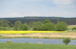 Dofinansowanie dla Pomorza na zapewnienie bezpieczeństwa powodziowego