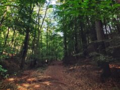 Mieszkańcy Kaszub sprzeciwiają się utworzeniu Kaszubskiego Parku Narodowego