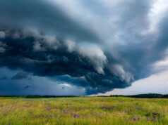 Miasto Lębork podejmuje działania w związku ze zmianami klimatycznymi